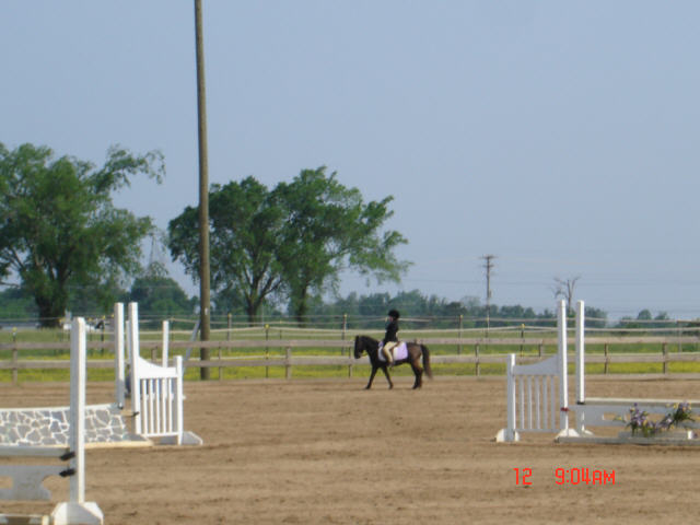 dsc02610.jpg